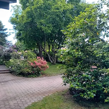Maison Spacieuse A Soustons: Jardin, Terrasse, Proche Centre-ville - Fr-1-239-1052 Soustons