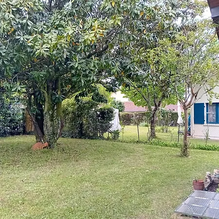 Ferienhaus Maison Spacieuse A Soustons: Jardin, Terrasse, Proche Centre-ville - Fr-1-239-1052 *