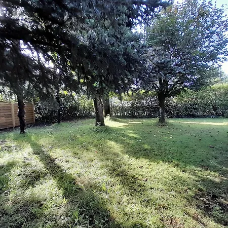 Ferienhaus Maison Spacieuse A Soustons: Jardin, Terrasse, Proche Centre-ville - Fr-1-239-1052 Soustons