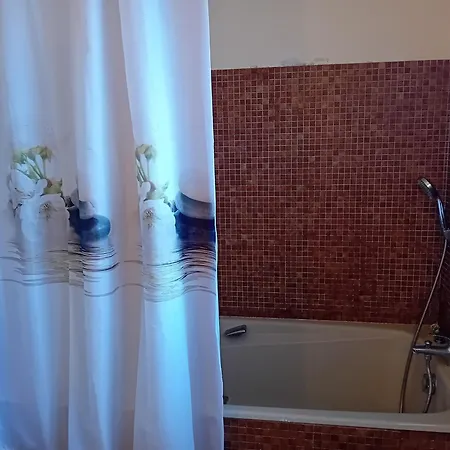 Maison Spacieuse A Soustons: Jardin, Terrasse, Proche Centre-ville - Fr-1-239-1052